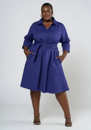 Arana Mini Shirt Dress