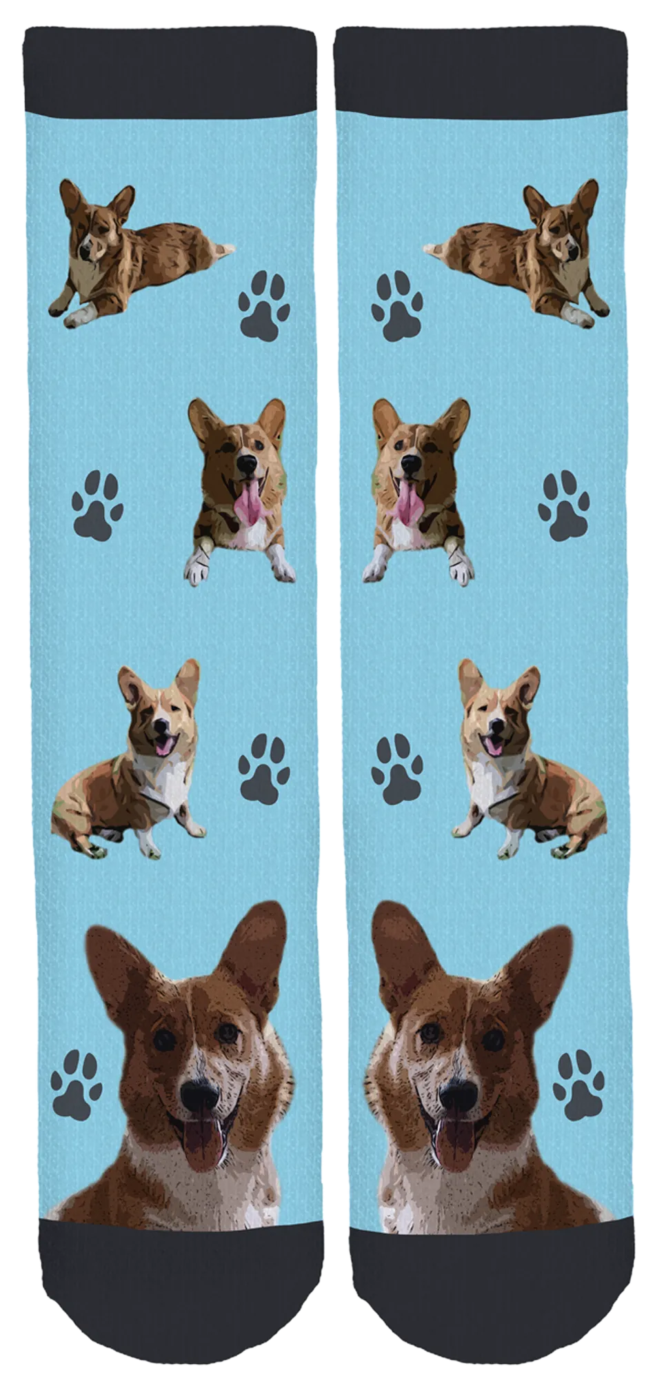 Bear The Corgi Crew Socks