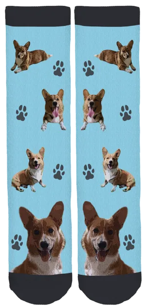 Bear The Corgi Crew Socks