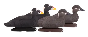 GHG Pro-Grade Foam Filled Surf Scoter Decoys