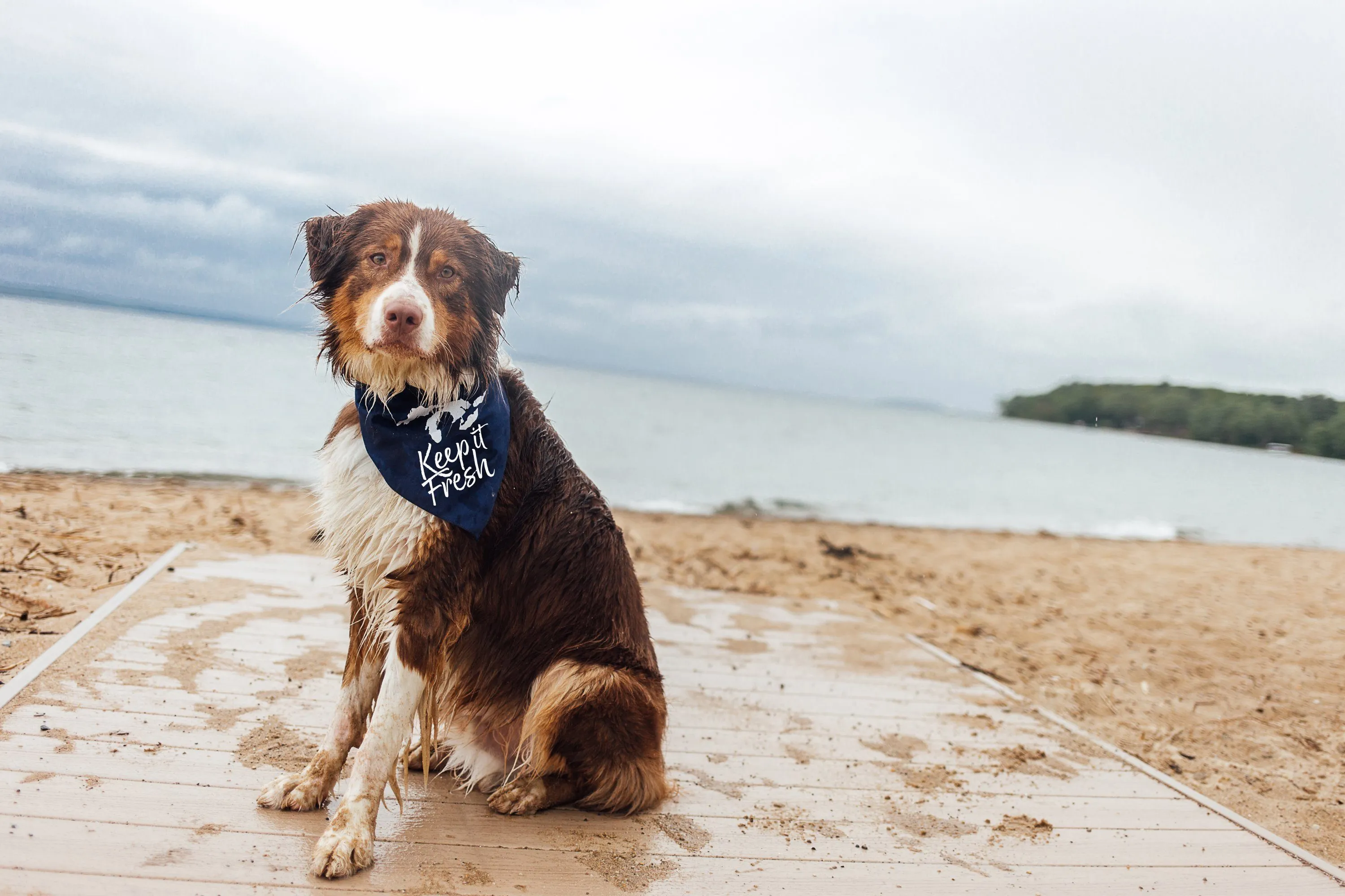 Keep it Fresh Bandana